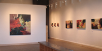 Conrad Wilde Gallery